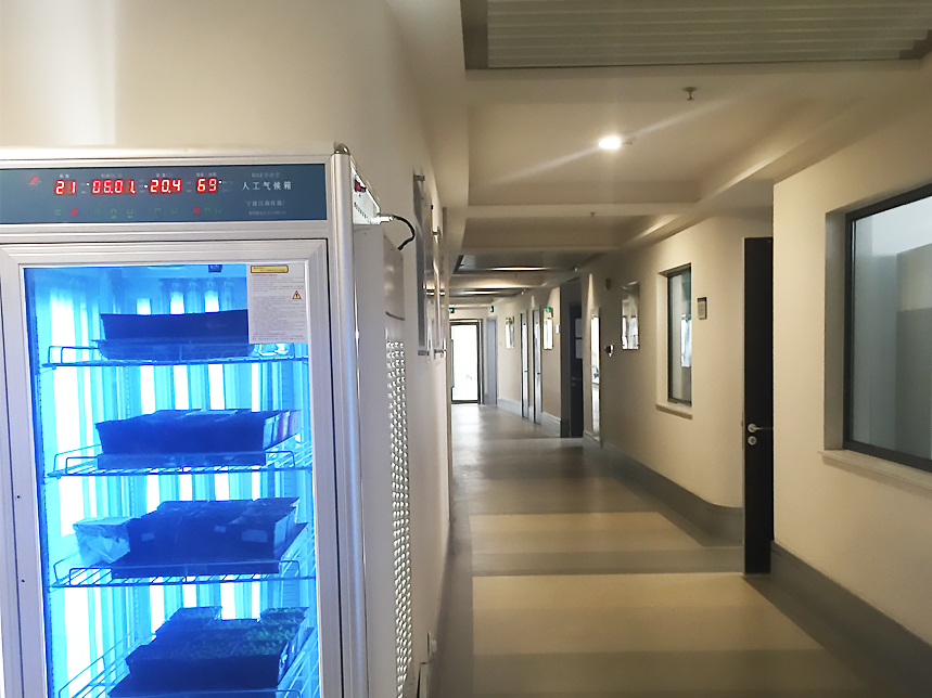 组培实验室装修设计布局及要求-SAREN三仁实验室装修设计